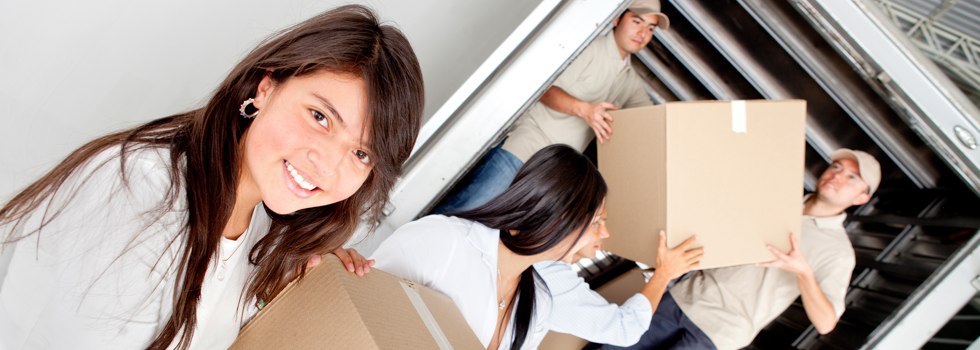 Professional Removalists Cromer VIC